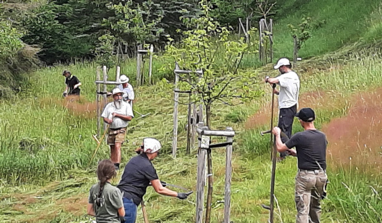 Bäume wurden gepflanzt Foto: Bernd Seifert